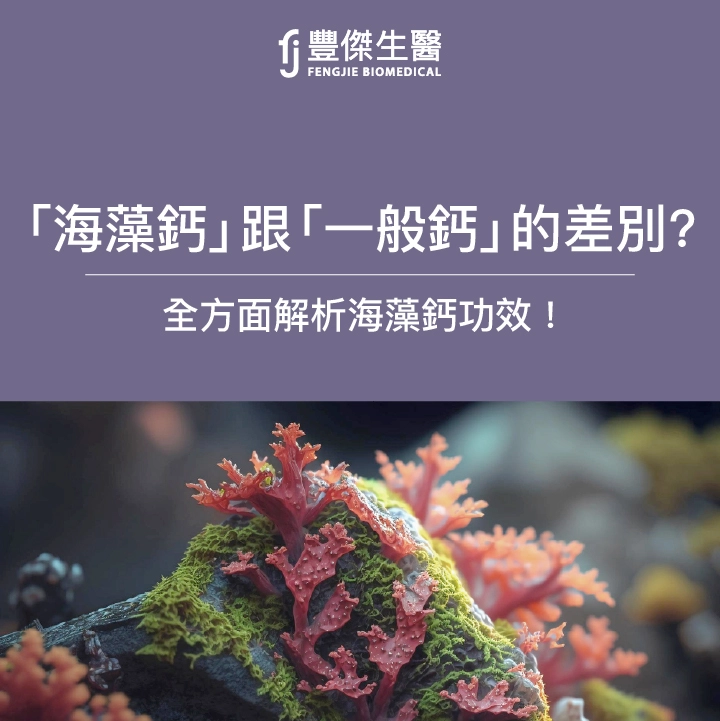 海藻鈣功效有哪些？海藻鈣 vs. 一般鈣的差別，一篇搞懂！