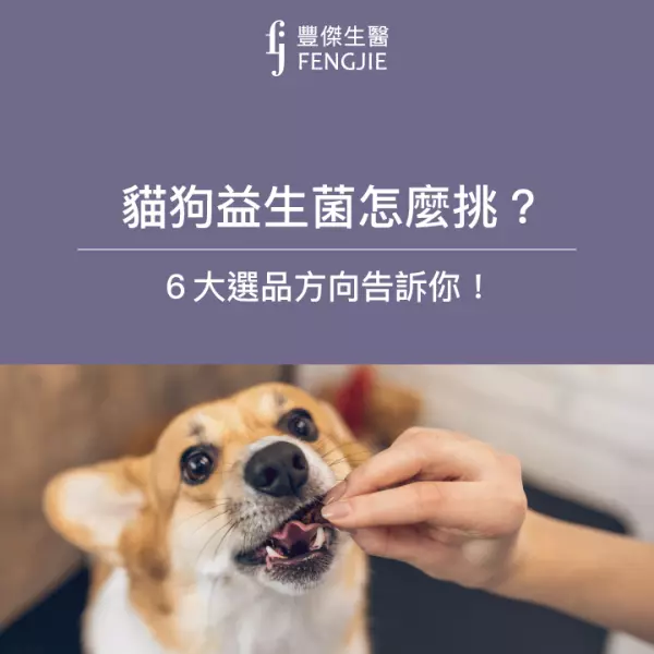 貓狗益生菌怎麼吃?吃多久?營養師:寵物益生菌推薦看這6點