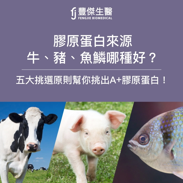 膠原蛋白來源牛、豬、魚鱗哪種好？五大原則幫你挑出Ａ＋膠原蛋白！