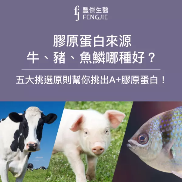 膠原蛋白來源牛、豬、魚鱗哪種好?五大原則幫你挑出A+膠原蛋白!
