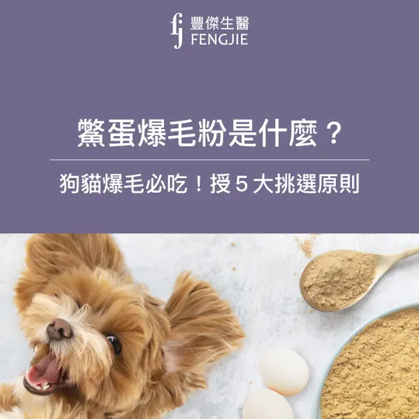 鱉蛋爆毛粉是什麼?狗貓長毛必吃!營養師授5點挑選原則