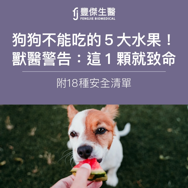 狗狗不能吃的5大水果!獸醫警告:這1顆就致命(附18種安全清單)