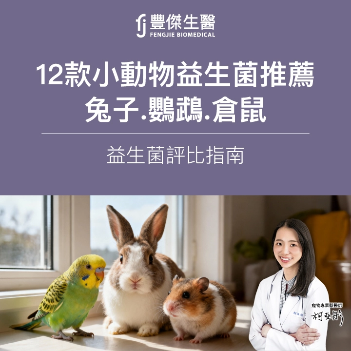 兔子、鸚鵡、倉鼠益生菌推薦｜12款小動物益生菌評比與選購指南