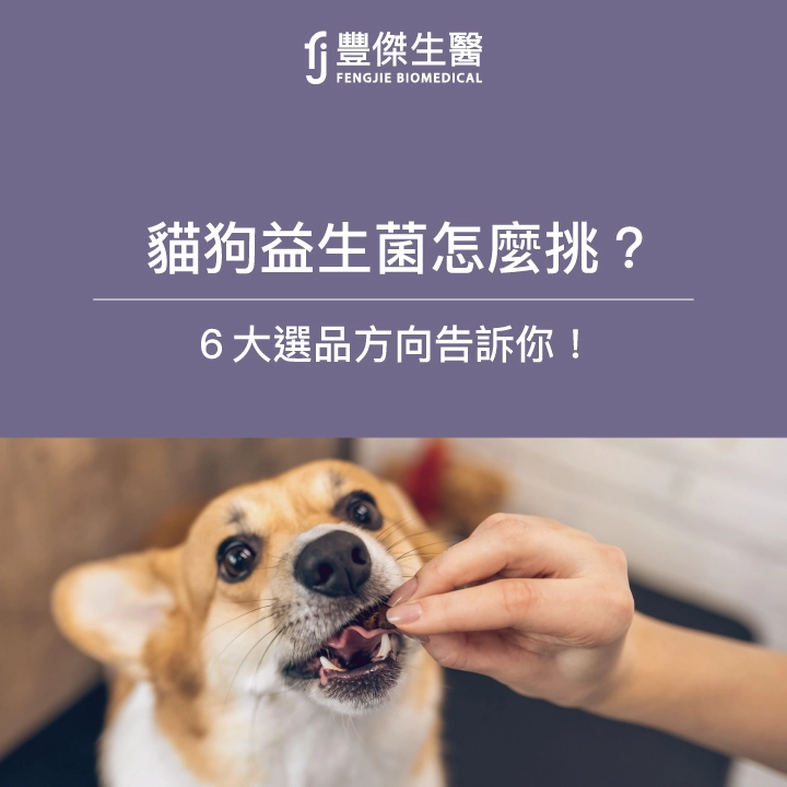 貓狗益生菌怎麼吃？吃多久？營養師：寵物益生菌推薦看這6點