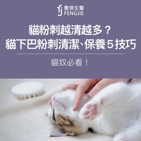 貓粉刺越清越多?貓下巴粉刺清潔、保養5技巧,貓奴必看!