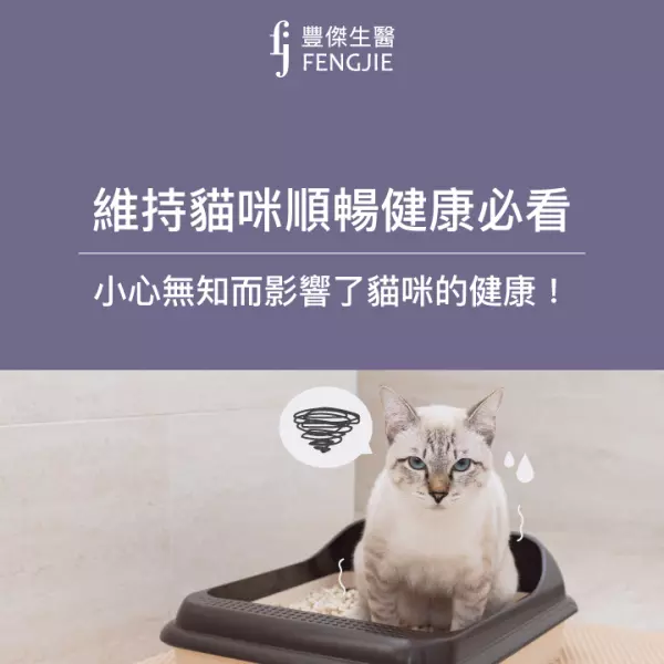 貓咪便祕如何判斷?這5大症狀要注意!預防改善3大方法!