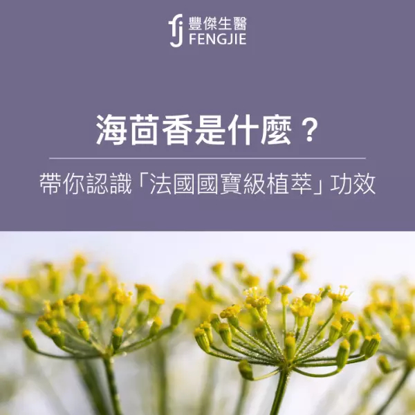 海茴香是什麼?3大功效曝!專家:乾肌、皮膚有狀況必用!