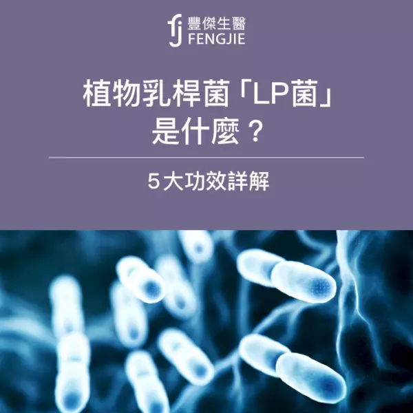 植物乳桿菌「LP菌」是什麼?5大功效專家詳解