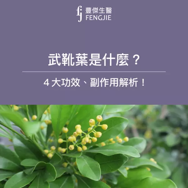 武靴葉4功效!營養師:符合這2點才推薦買!注意4大副作用
