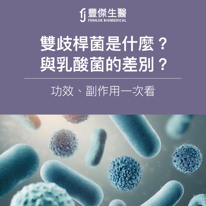 雙歧桿菌是什麼?營養師:與乳酸菌的差別、功效、副作用一次看