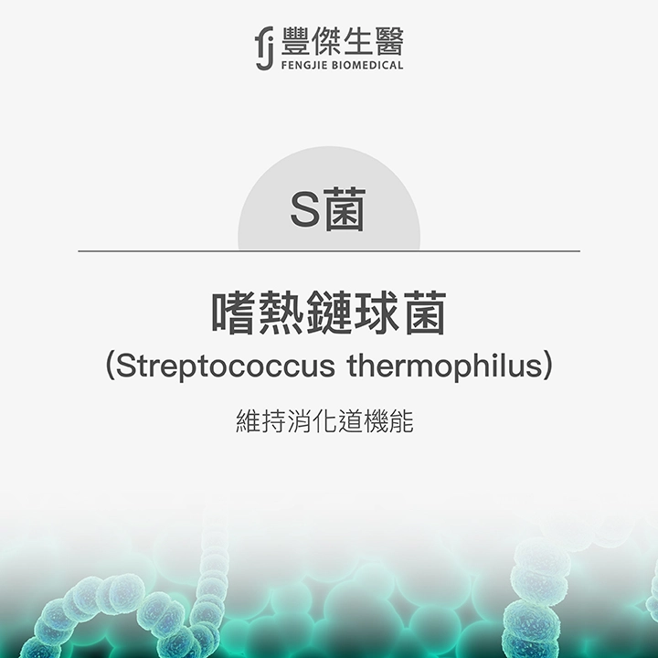 S菌：嗜熱鏈球菌