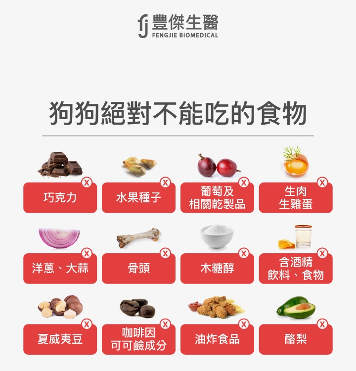 狗狗絕對不能吃的食物:巧克力、水果種子、葡萄與乾葡萄、生肉生雞蛋、洋蔥大蒜、骨頭、木糖醇、含酒精食物、夏威夷豆、咖啡因、油炸食物、酪梨