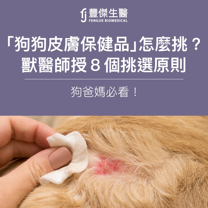 「狗狗皮膚保健品」怎麼挑？獸醫師授8個挑選原則，狗爸媽必看！
