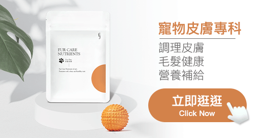 寵物皮膚專科