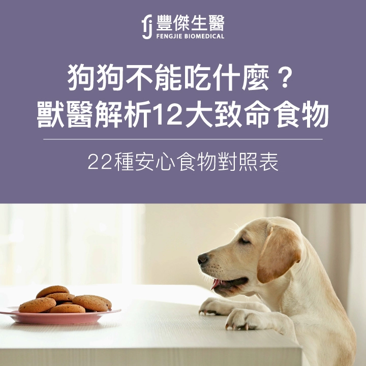 狗狗不能吃什麼?獸醫解析12大致命食物+22種安心食物對照表