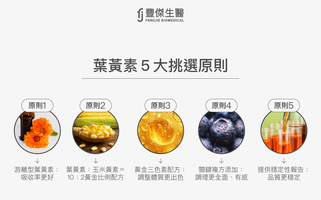 葉黃素挑選5大原則,包括游離型葉黃素吸收率更佳、葉黃素與玉米黃素10比2黃金比例配方、黃金三色素配方調整體質更出色、關鍵複方添加讓調理更全面,以及提供穩定性報告確保品質穩定。