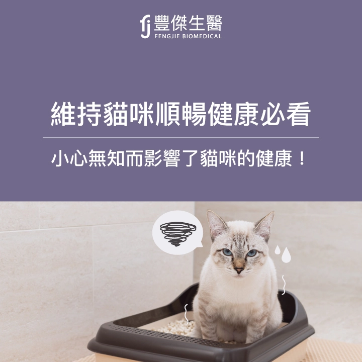 貓咪便祕如何判斷？這5大症狀要注意！預防改善3大方法！