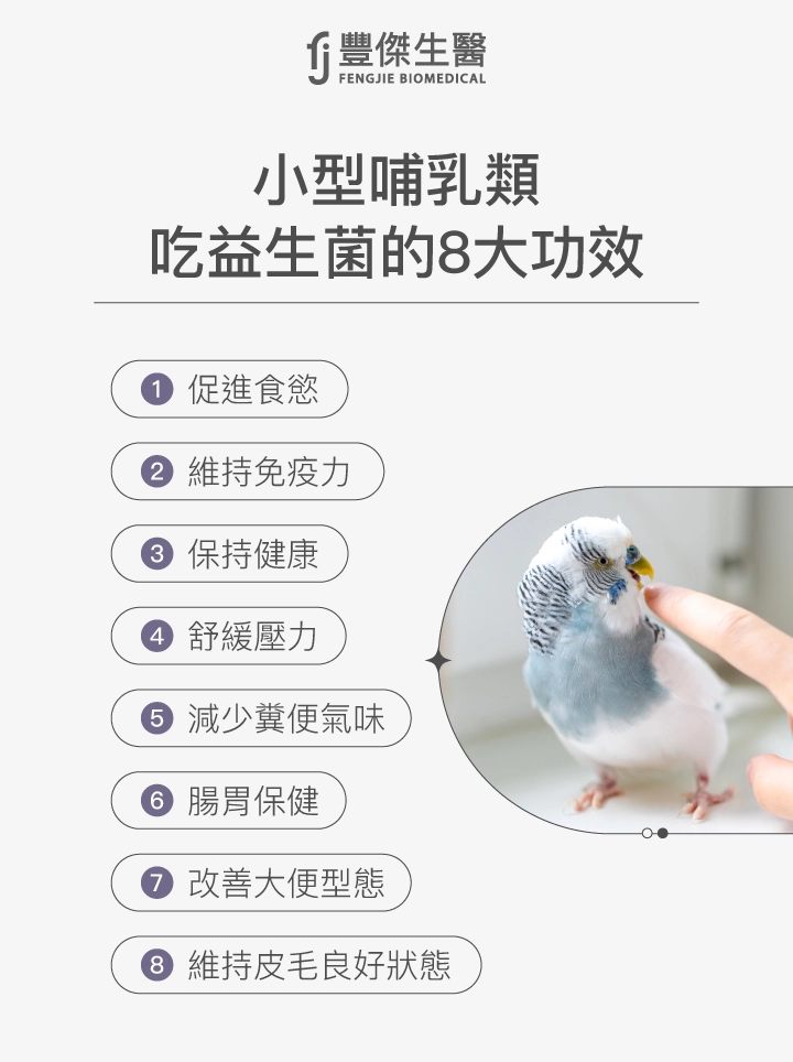 小型哺乳類吃益生菌的8大功效：1.促進食慾2.維持免疫力3.保持健康4.舒緩壓力5.減少糞便氣味6.腸胃保健7.改善大便型態8.維持皮毛良好狀態
