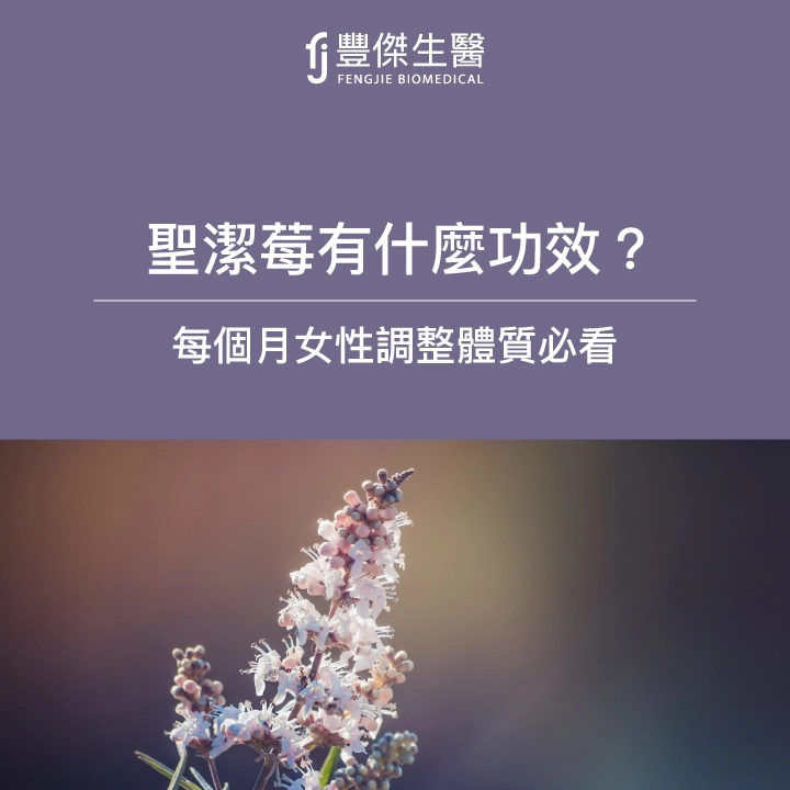 聖潔莓是什麼？