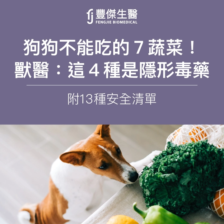 狗狗不能吃的7蔬菜!獸醫:這4種是隱形毒藥(附13種安全清單)