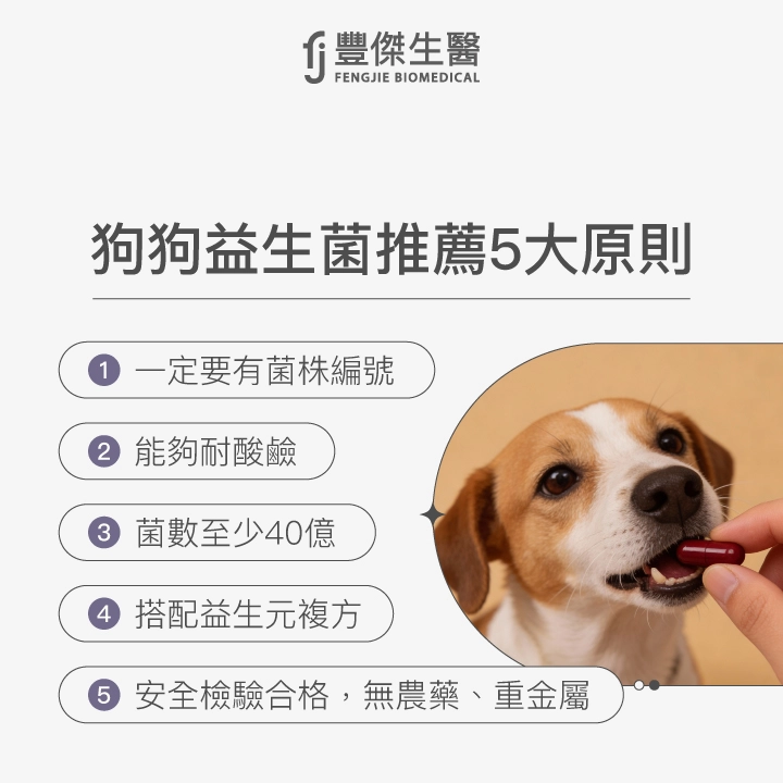 狗狗益生菌推薦5大原則:1.一定要有菌株編號,2.能夠耐酸鹼,3.菌數至少40憶,4.搭配益生元複方,5.安全檢驗合格,無農藥、重金屬