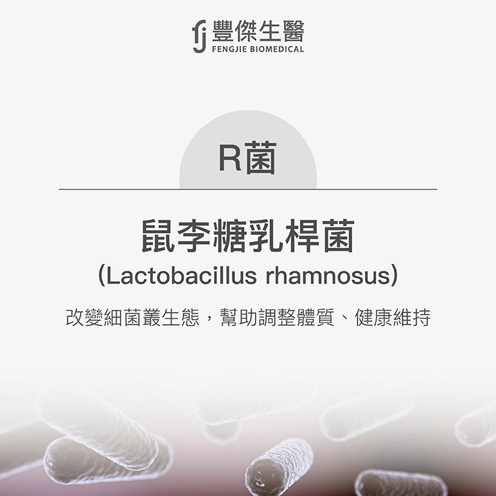 R菌：鼠李糖乳桿菌