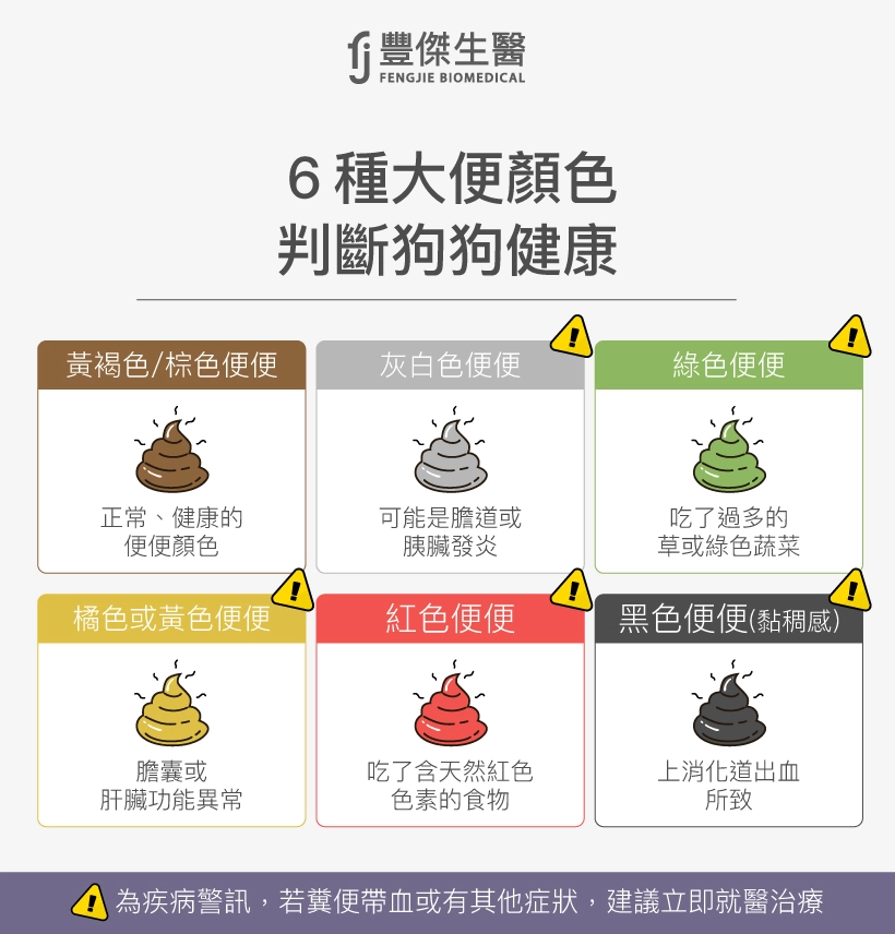 6種狗狗大便顏色與健康狀況判斷，黃色或棕色為正常；灰白色可能是膽道或胰臟發炎；綠色代表吃太多草或綠色蔬菜；橘色或黃色可能為膽囊或肝臟功能異常；紅色表示吃了含天然紅色色素食物；黑色黏稠狀可能是上消化道出血，部分情況需立即就醫。