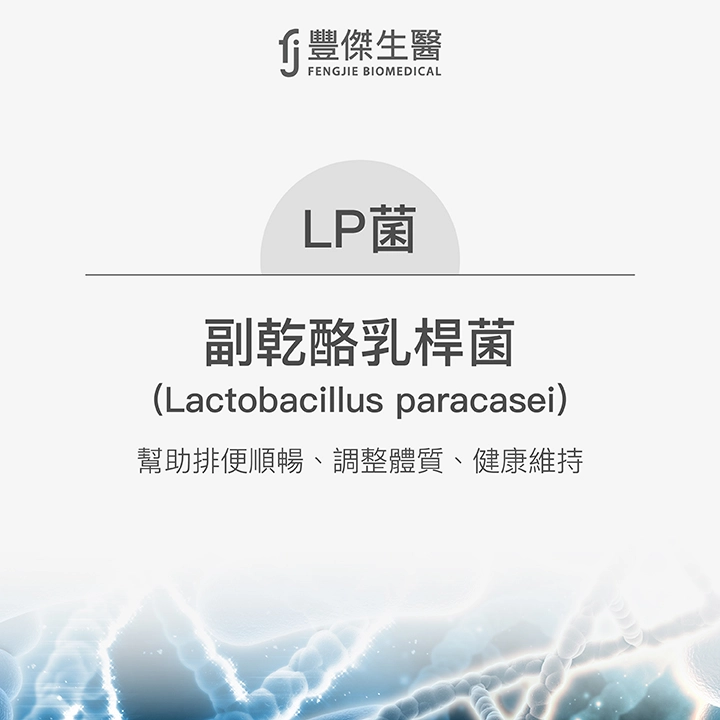 LP菌：副乾酪乳桿菌