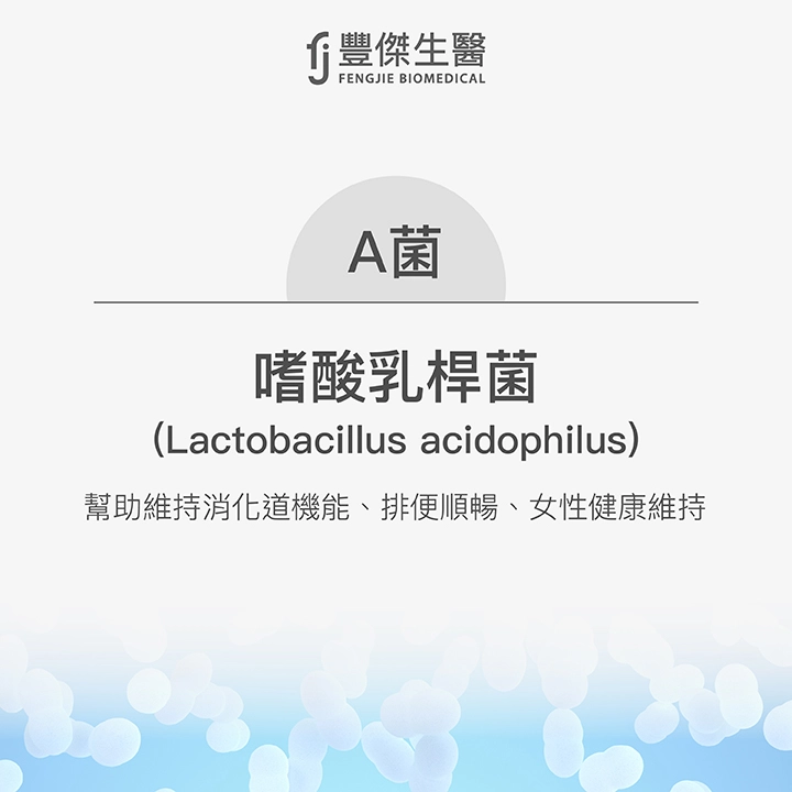A菌：嗜酸乳桿菌