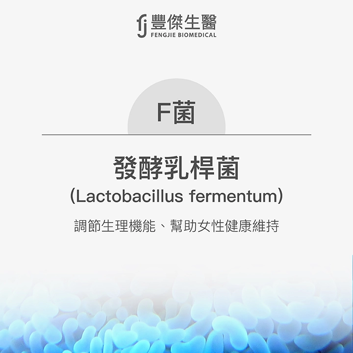 F菌：發酵乳桿菌