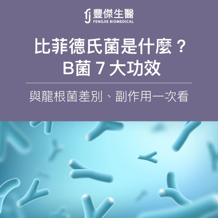比菲德氏菌是什麼？B菌7大功效｜與龍根菌差別、副作用一次看