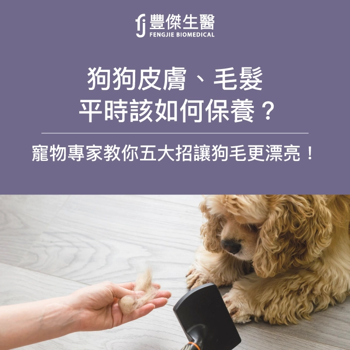 狗狗皮膚、毛髮平時該如何保養?寵物專家教你五大招讓狗毛更漂亮！