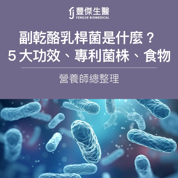 副乾酪乳桿菌是什麼?營養師:5大功效、專利菌株、食物總整理