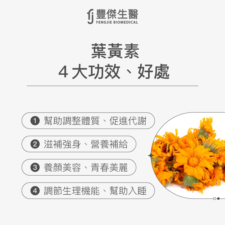葉黃素4大功效與好處,包括幫助調整體質促進代謝、滋補強身與營養補給、養顏美容保持青春美麗,以及調節生理機能幫助入睡,搭配金盞花原料示意圖。