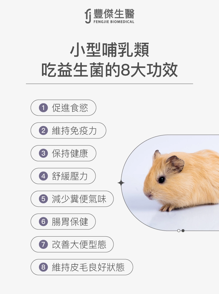 小型哺乳類吃益生菌的8大功效:1.促進食慾2.維持免疫力3.保持健康4.舒緩壓力5.減少糞便氣味6.腸胃保健7.改善大便型態8.維持皮毛良好狀態