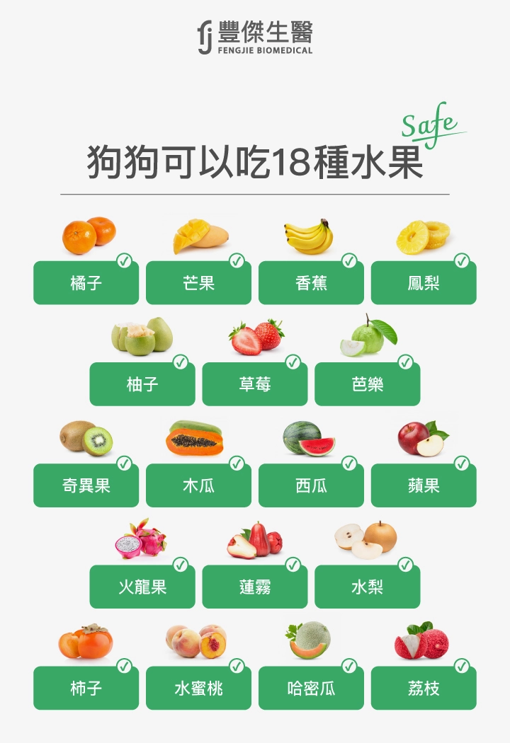 狗狗可以吃的水果:橘子、芒果、香蕉、鳳梨、柚子、草莓、芭樂、奇異果、木瓜、西瓜、蘋果、火龍果、蓮霧、水梨、柿子、水蜜桃、哈密瓜、荔枝。