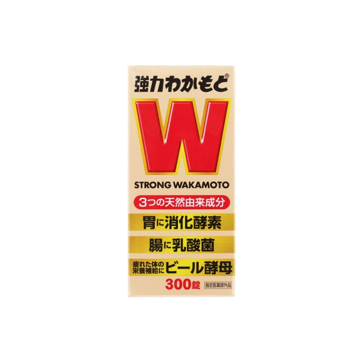 【Wakamoto】若元錠