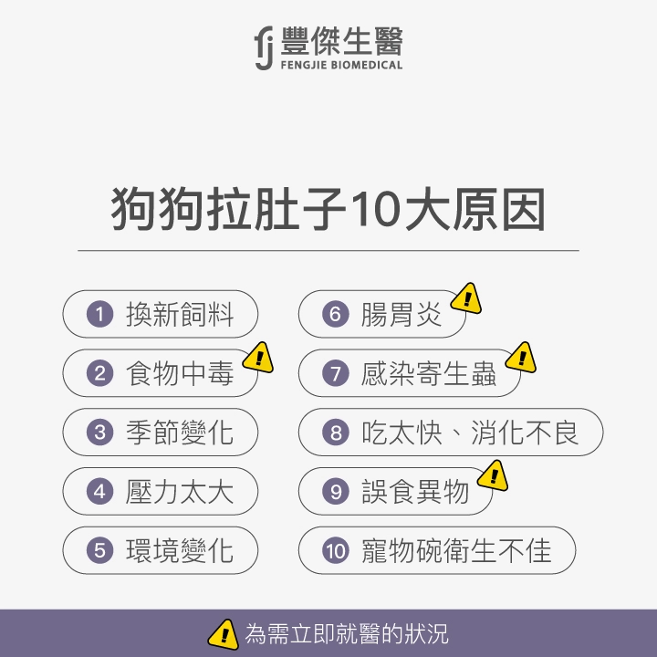 狗狗拉肚子10大原因，包括換新飼料、食物中毒、季節變化、壓力太大、環境變化、腸胃炎、感染寄生蟲、吃太快或消化不良、誤食異物，以及寵物碗衛生不佳，其中食物中毒、腸胃炎、感染寄生蟲與誤食異物需立即就醫。