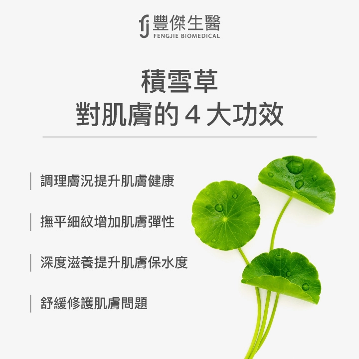 積雪草對肌膚的4大功效:調理膚況,提升肌膚健康、撫平細紋,增加肌膚彈性、深度滋養,提升肌膚保水度、舒緩修護肌膚問題