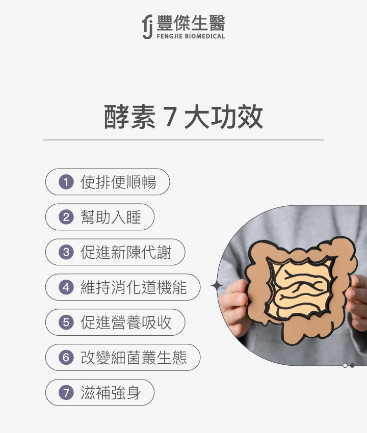 酵素7大功效,包括使排便順暢、幫助入睡、促進新陳代謝、維持消化道機能、促進營養吸收、改變細菌叢生態以及滋補強身。