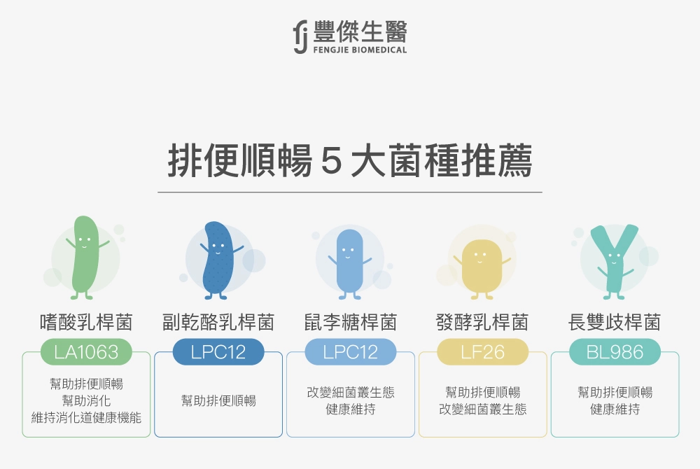 排便順暢5大益生菌菌種,包括嗜酸乳桿菌LA1063、副乾酪乳桿菌LPC12、鼠李糖桿菌LPC12、發酵乳桿菌LF26與長雙歧桿菌BL986,能幫助排便順暢、改善菌叢生態並維持腸道健康功能。