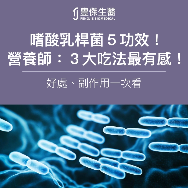 嗜酸乳桿菌5功效!營養師:3大吃法最有感!好處、副作用一次看