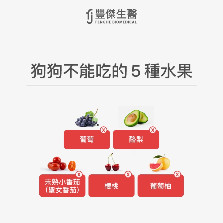 狗狗不能吃的水果包括:葡萄、酪梨、未熟小番茄(聖女番茄)、櫻桃、葡萄柚。