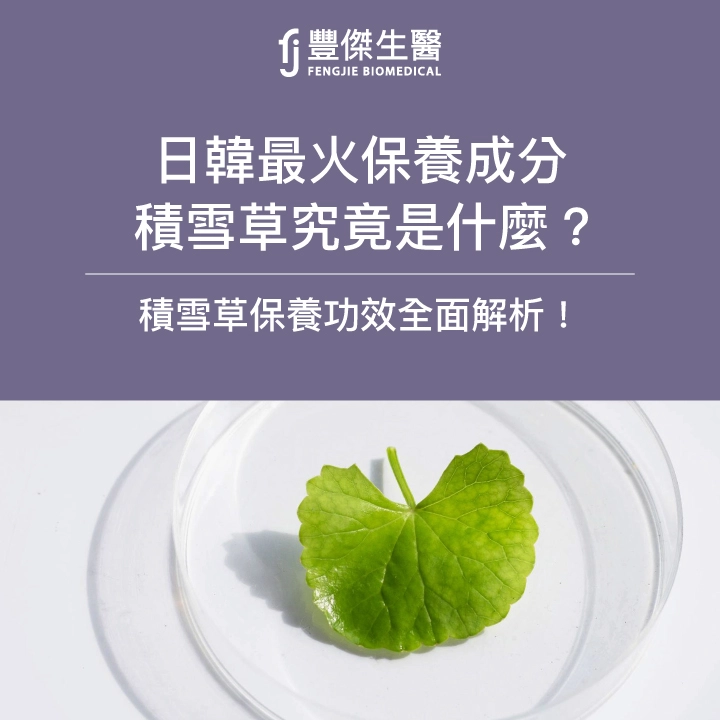 積雪草保養功效全面解析！