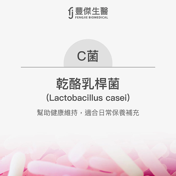 C菌：乾酪乳桿菌