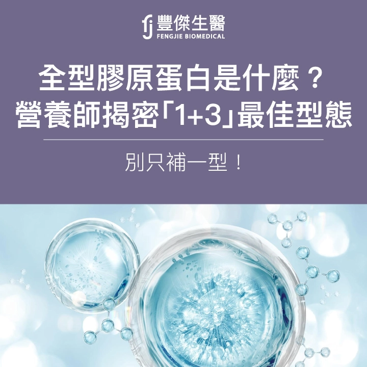全型膠原蛋白是什麼？營養師揭密「1+3」最佳型態，別只補一型！