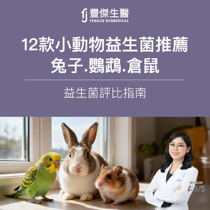兔子、鸚鵡、倉鼠益生菌推薦｜12款小動物益生菌評比與選購指南