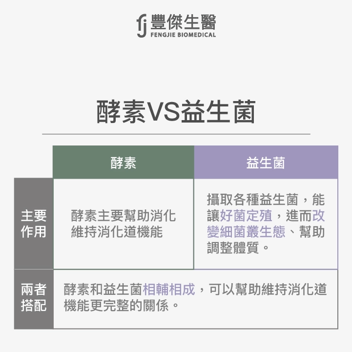 一張表讓你秒懂酵素VS.益生菌差別在哪？