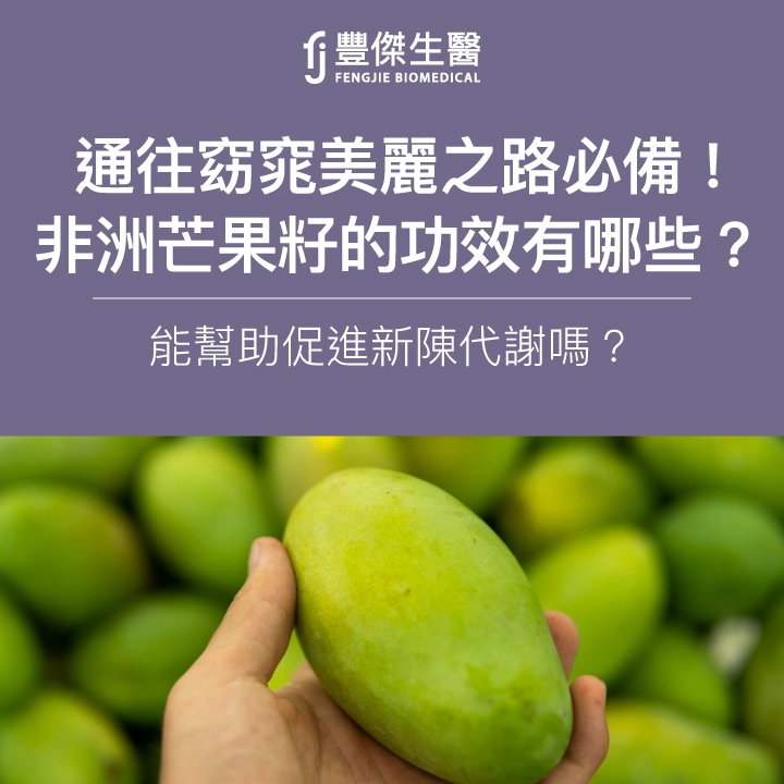 通往窈窕之路必備！非洲芒果籽的功效有哪些？能幫助促進新陳代謝嗎？