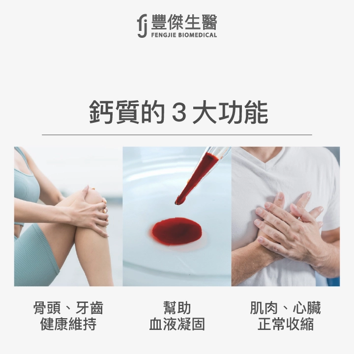 鈣質的3大功能：骨頭、牙齒健康維持、幫助血液凝固、肌肉、心臟正常收縮